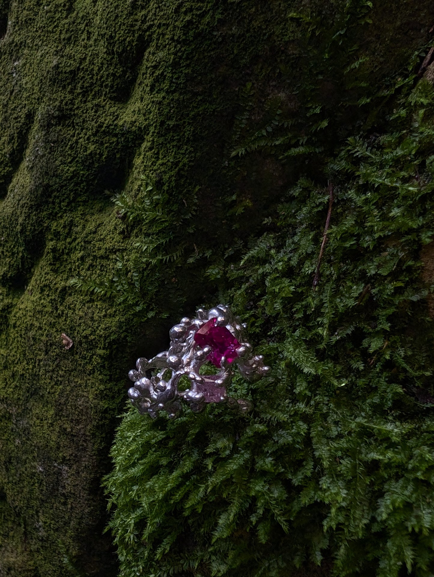 𝓒𝓮𝓵𝓮𝓼𝓽𝓲𝓪𝓵 𝓻𝓲𝓷𝓰