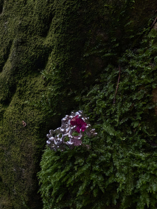 𝓒𝓮𝓵𝓮𝓼𝓽𝓲𝓪𝓵 𝓻𝓲𝓷𝓰